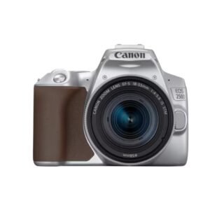 canon-eos-250d-ef-s-18-55mm-stm-argent